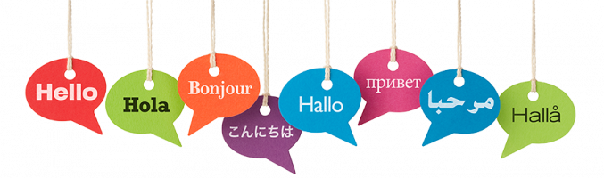 çok dilli antalya web tasarım